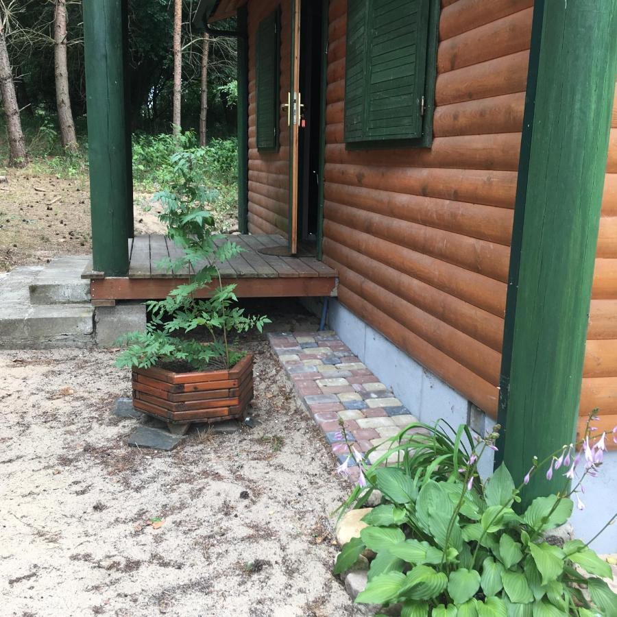 Agroturystyka Oaza Ciszy I Spokoju Miedzychod Exterior foto