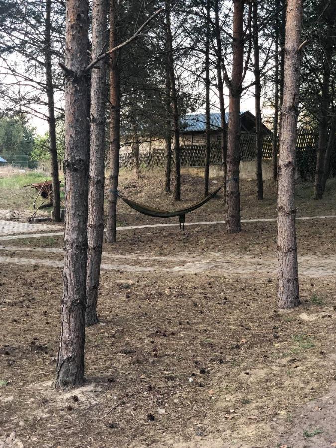 Agroturystyka Oaza Ciszy I Spokoju Miedzychod Exterior foto